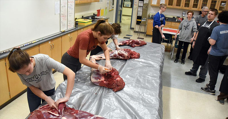 students cutting meat