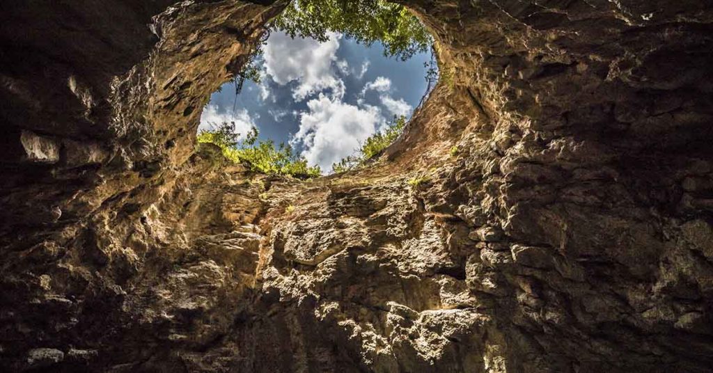 Huge Ancient Forest World Discovered 630 Feet Down in a Sinkhole - Featured image