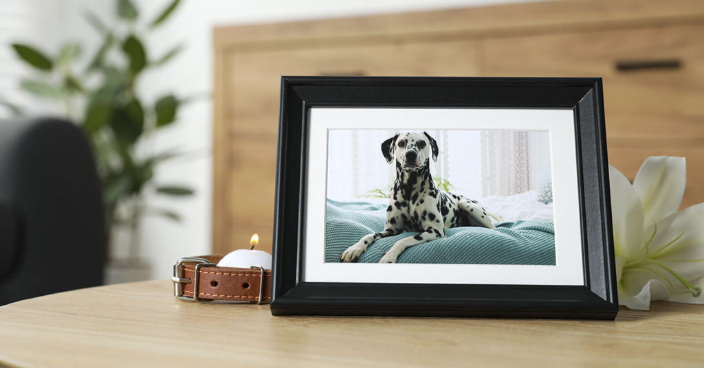 Research Reveals How Losing A Dog Is Equivalent To The Loss Of A Human  - Featured image