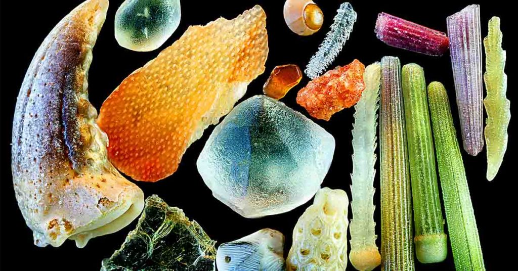 40 Pics of Things You Don’t Often See - Featured image