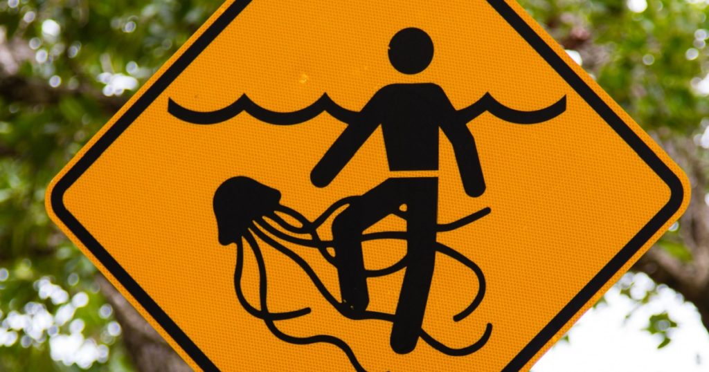 A yellow and black warning sign for dangerous marine stingers or jellyfish in tropical Australia.