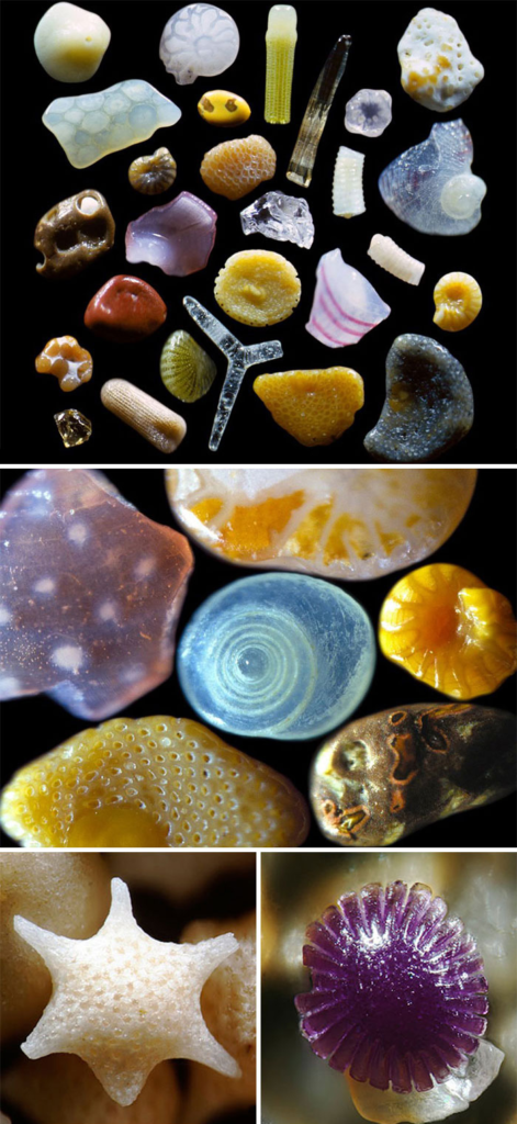 Magnified sand grains