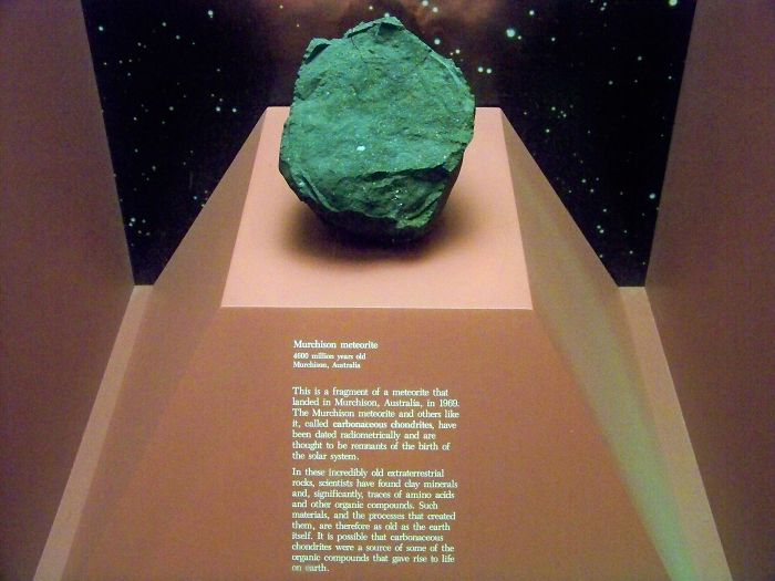 The Murchison Meteorite