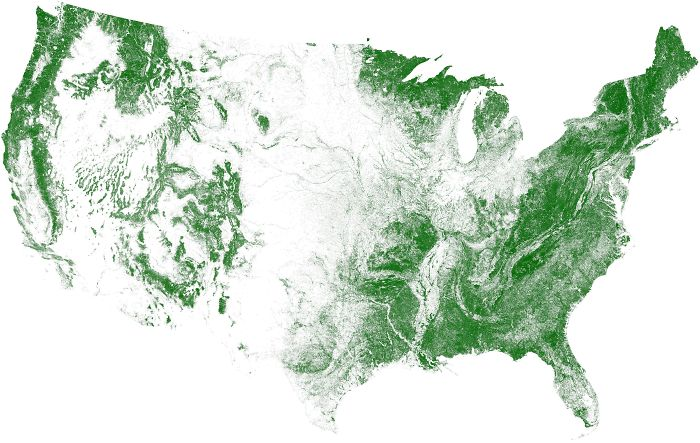 United States Tree Cover