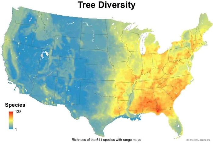 Map showing tree diversity