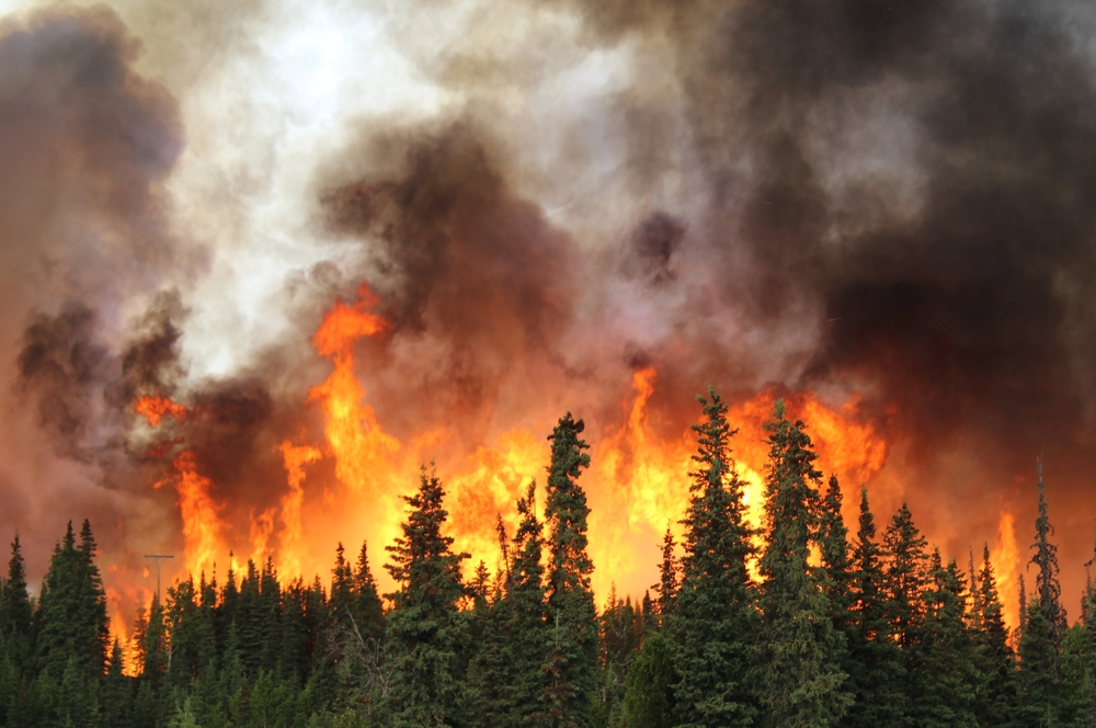 Alaska wildfires up close and personal
