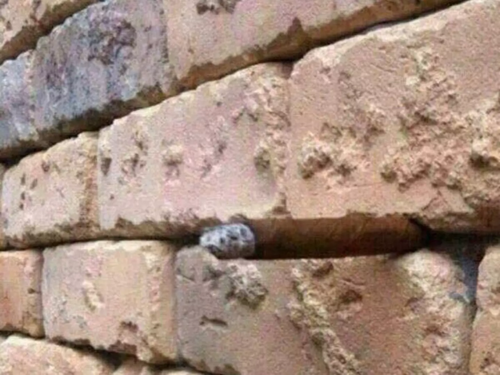 Optical illusion of a brick wall
