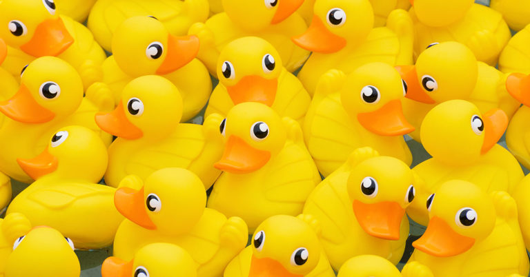 Can You Find All The Ducks In This Picture? - Featured image