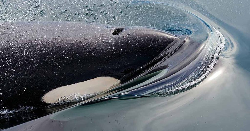 14 Science Facts That Sound Like Nonsense - Featured image