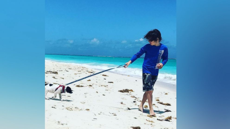 There’s An Island In The Caribbean Where You Can Play With Shelter Dogs - Featured image