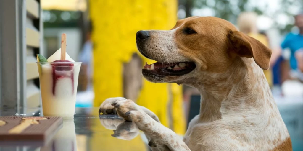 This Restaurant Will Pay You To Be An Official Dog Cuddler - Featured image