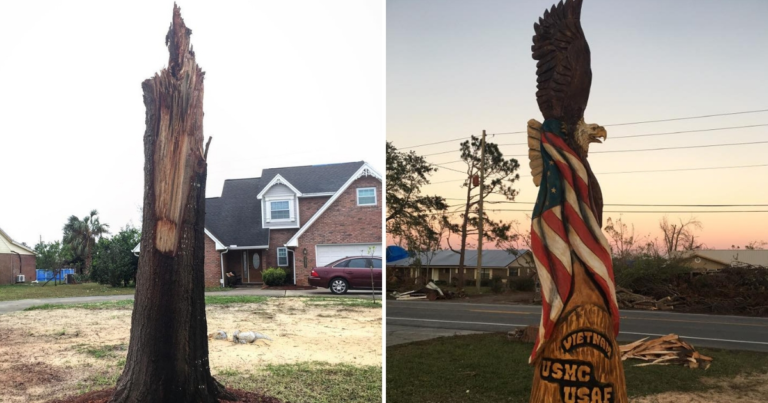 Man Turns Tree Damaged by Hurricane into Patriotic Piece of Art - Featured image