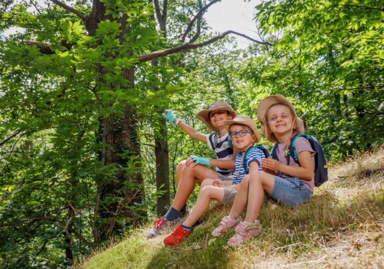 Family found a strange metal sphere in the woods that started moving on its own – then the Navy took over. - Featured image