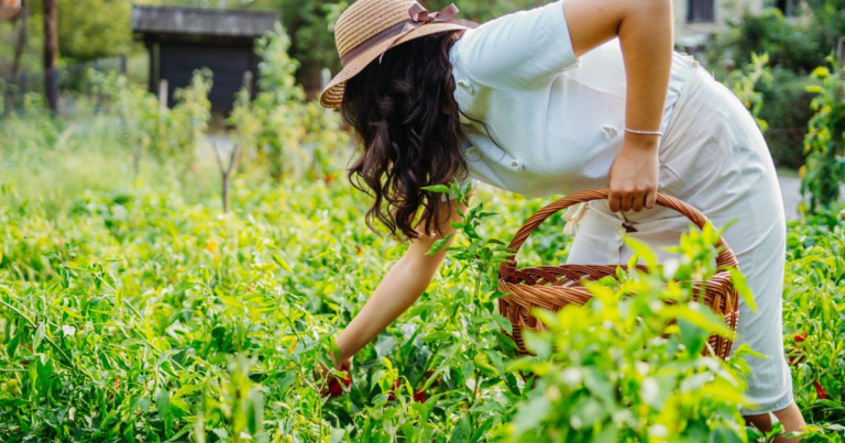 A Practical Guide to Organic Home Gardening - Featured image