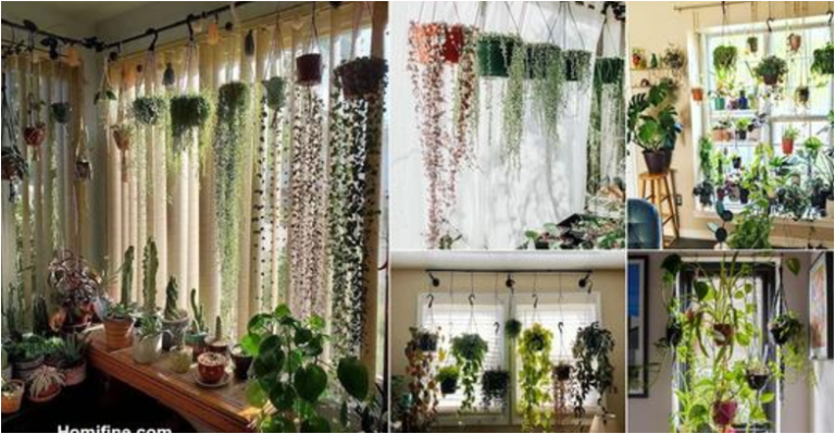 Amazing Ideas for Arranging Your Plants as Curtains - Featured image