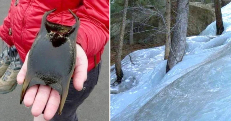 50 Rare Pictures Showing We Still Love In A Wondrous World - Featured image