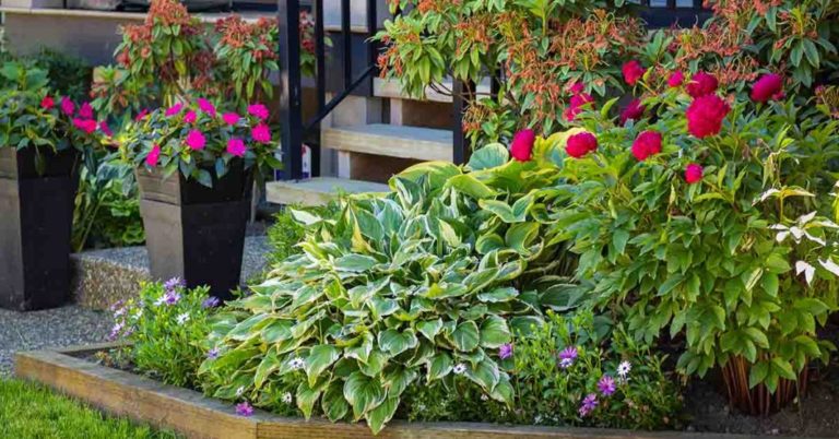 People Panic After Finding Odd Metal Dart in Front Lawn - Featured image