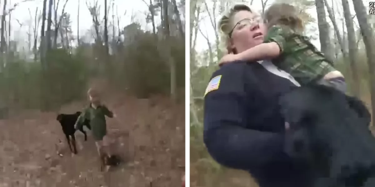 Loyal Dog Becomes Hero: Protects Lost Boy in the Woods - Featured image