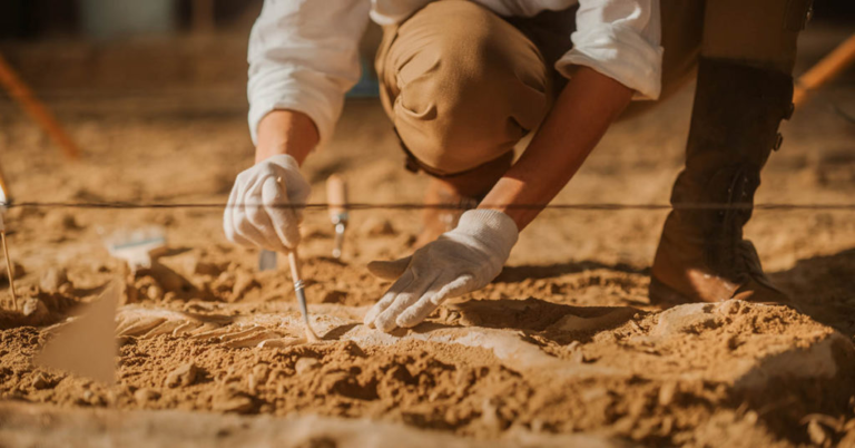 Scientists Discover Dinosaur Face That Still Has Its Skin - Featured image