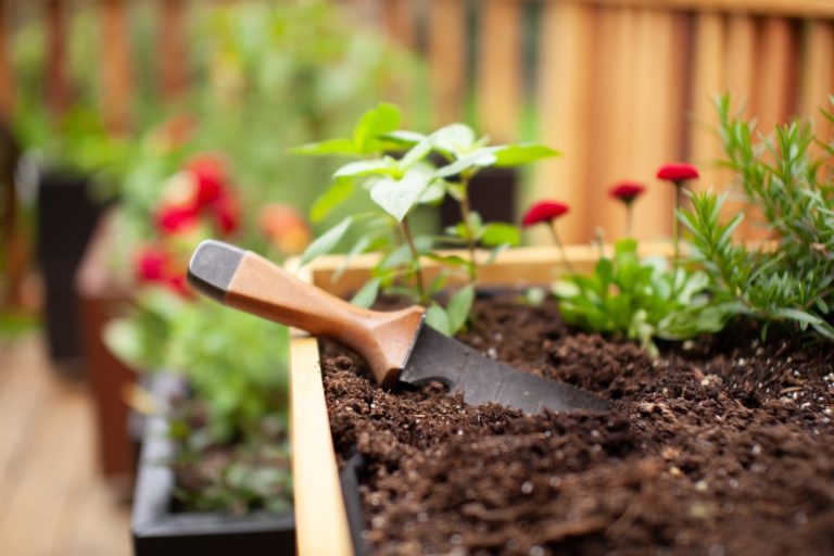 10 Brilliant Gardening Hacks That Will Transform Your Green Space - Featured image