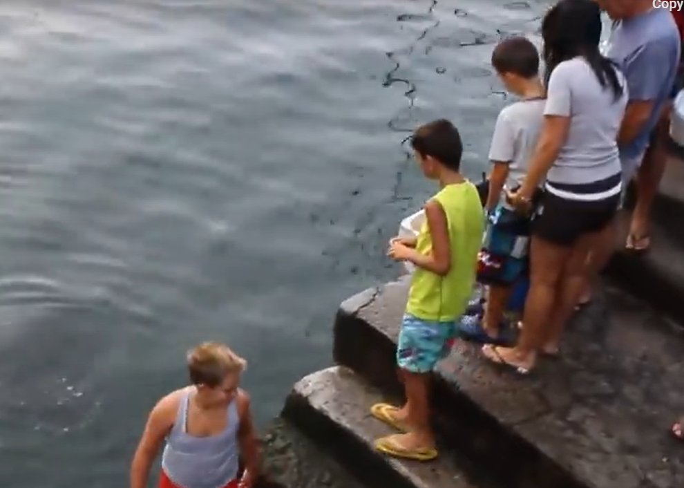 watchers on a dock