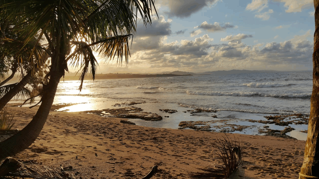 Puerto Viejo de Talamanca