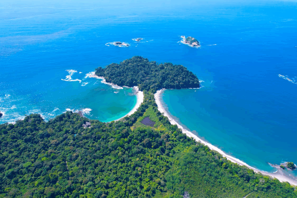 Green Trees Near Blue Sea