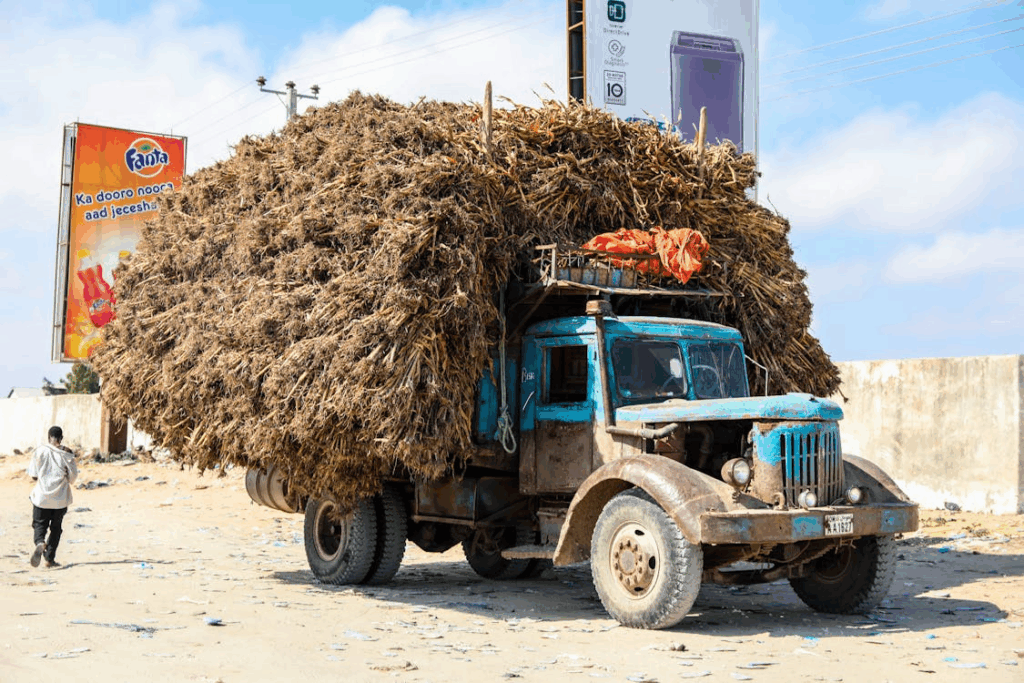 Somalia