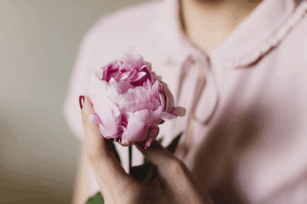 Peony flower