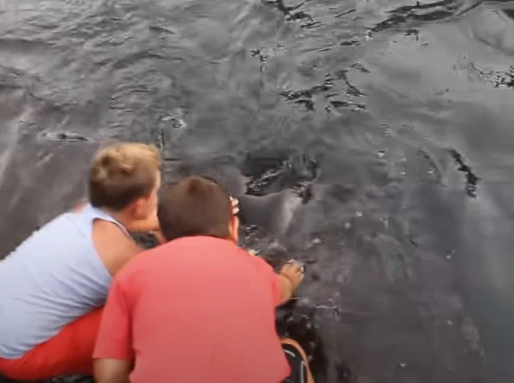 two children pet stingray