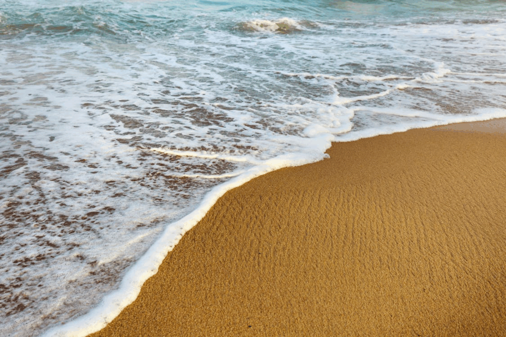closeup of sea foam on beach