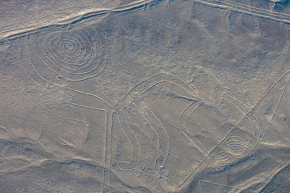 monkey nazca line image