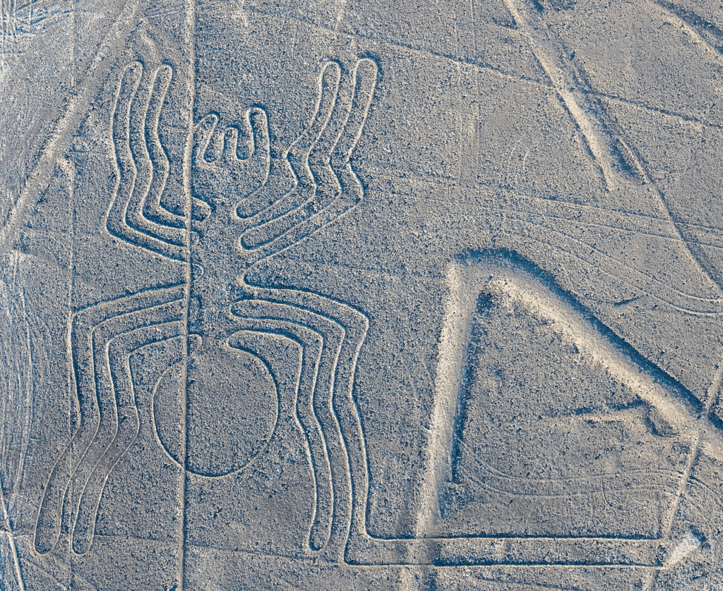spider nazca drawing