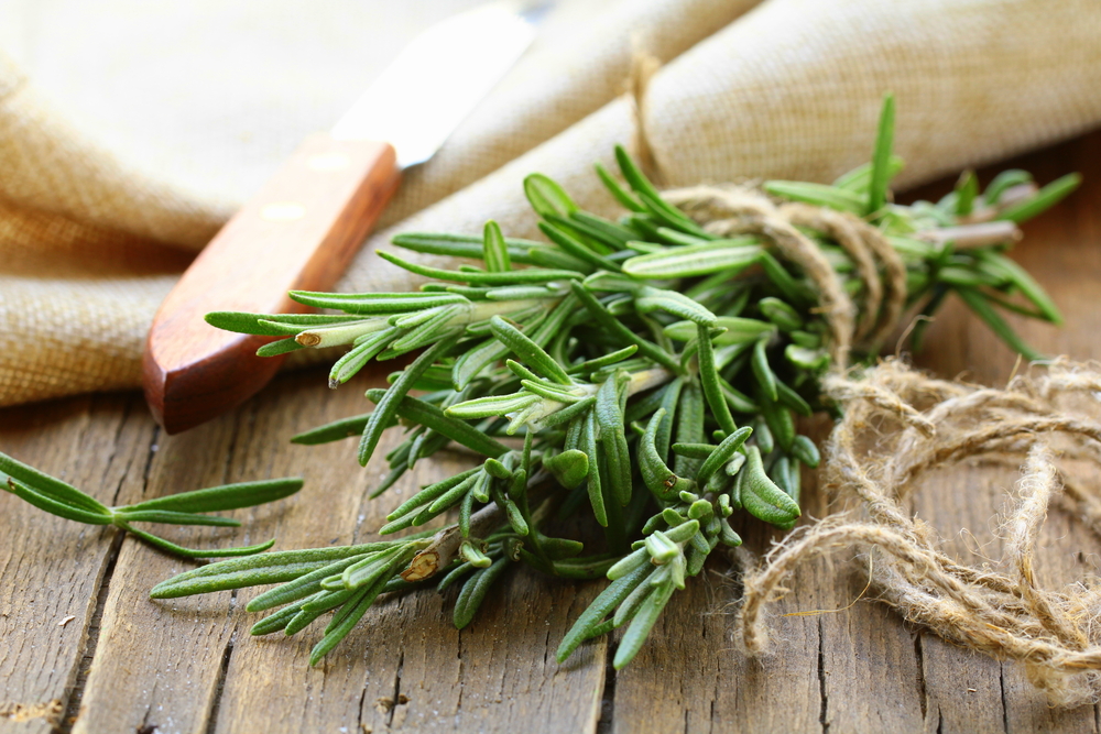 Organic bunch of fresh rosemary on the table