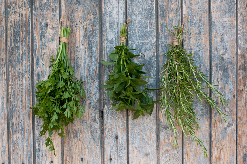 Different kind of spices hanging on an old wooden door