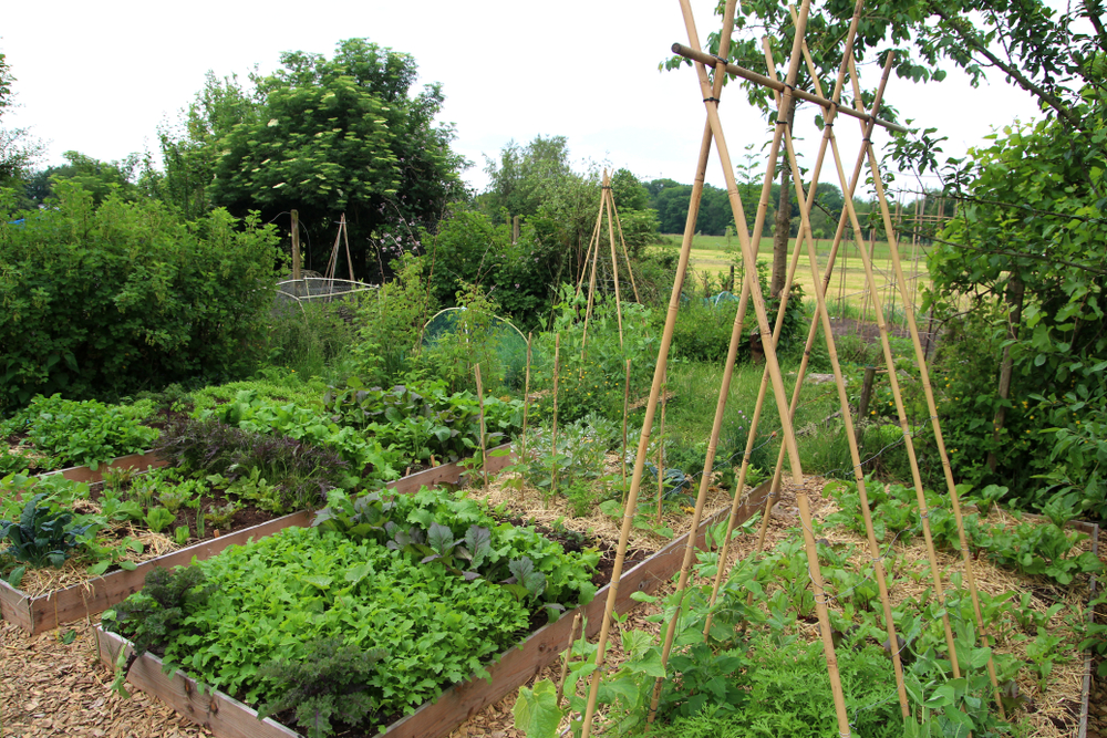 eco garden