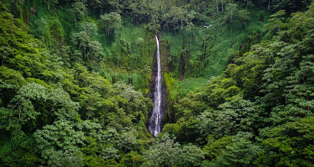 Cocos Island Marine Park Costa Rica