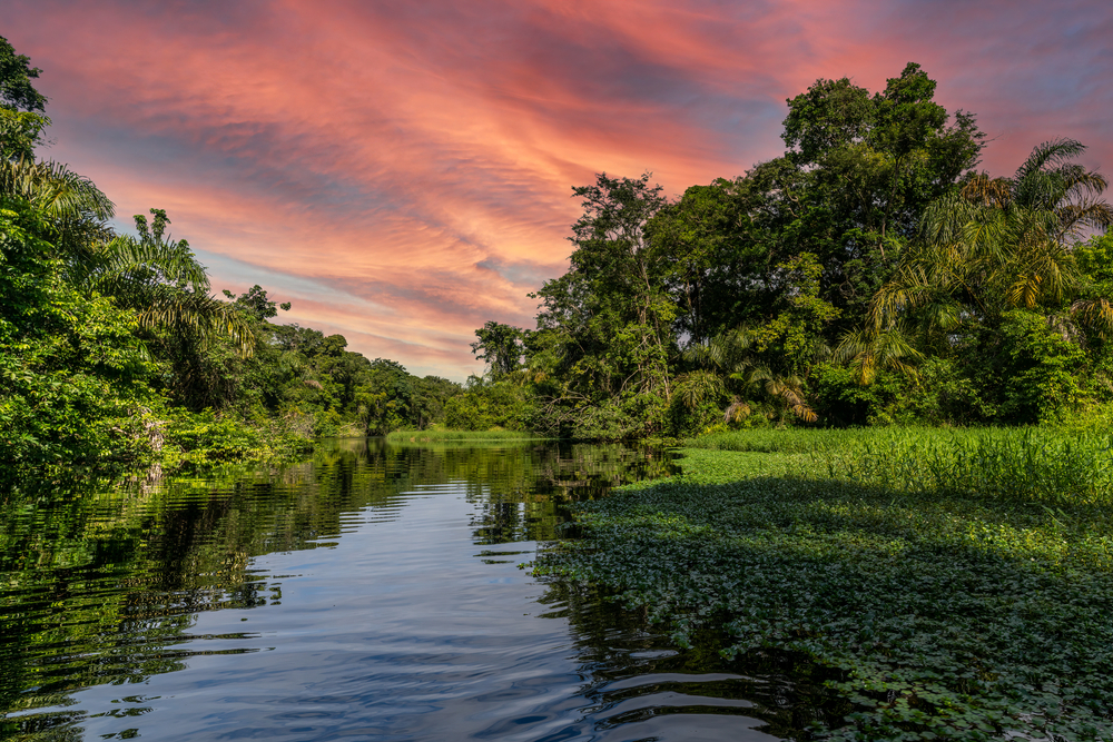 Canal in the national park of Tortuguero with its tropical rainforest along the Caribbean Coast of Costa Rica, Central America.