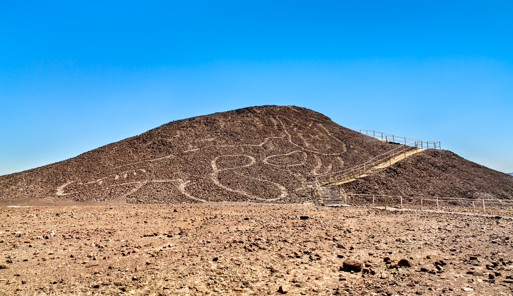 The Cat drawing at Nazca in Peru