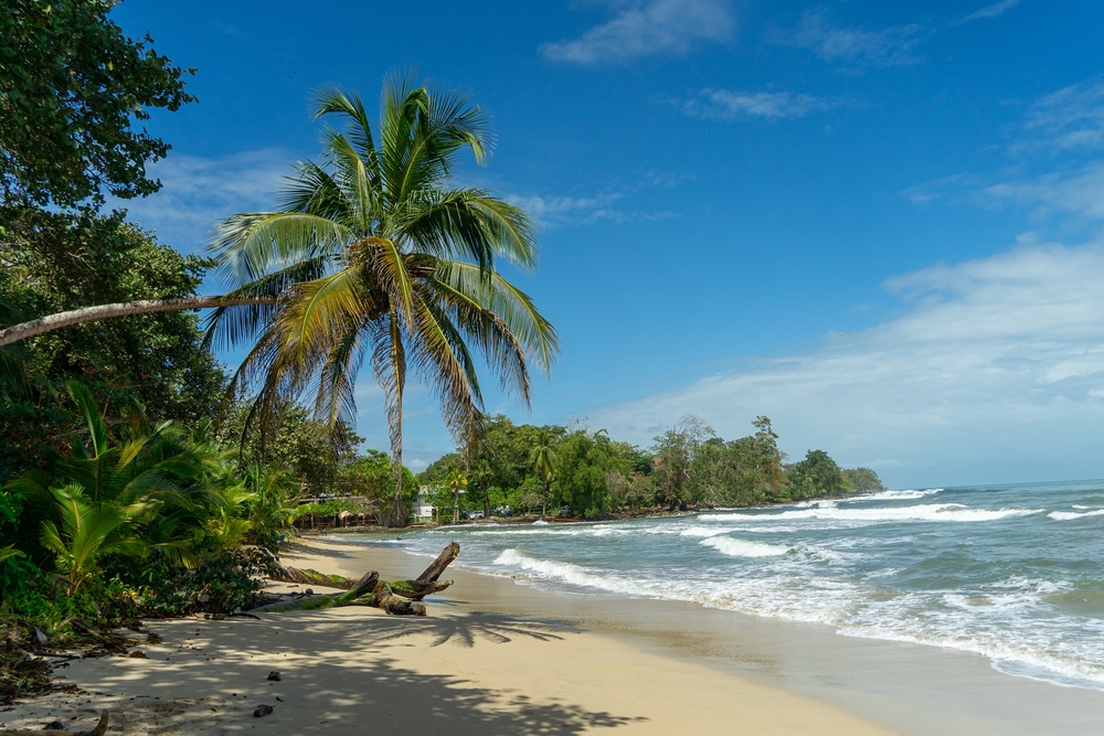 Cahuita National Park