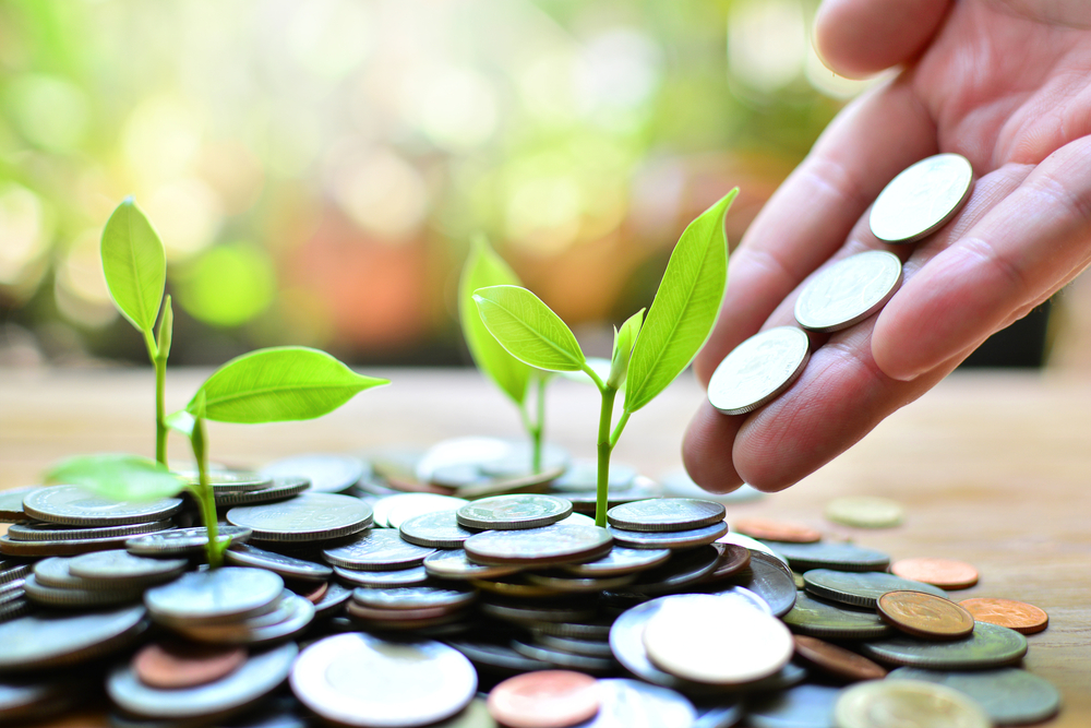 coins growth up to profit concept investment and finance