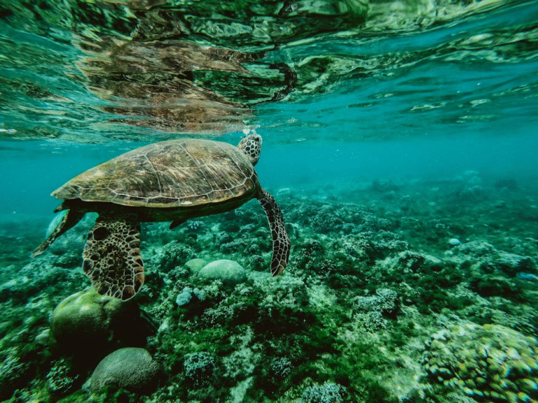 40+ Fascinating World Facts That Will Blow Your Mind : The Amazing Times
