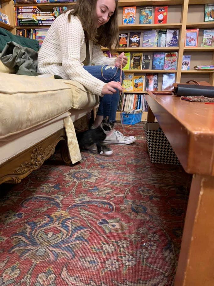 woman playing with kitten in book store