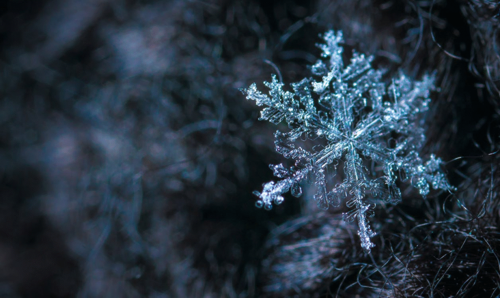 closeup of snaowflake