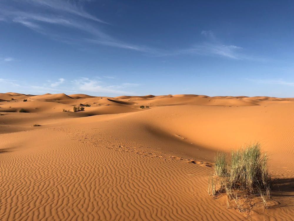 image of sahara desrt