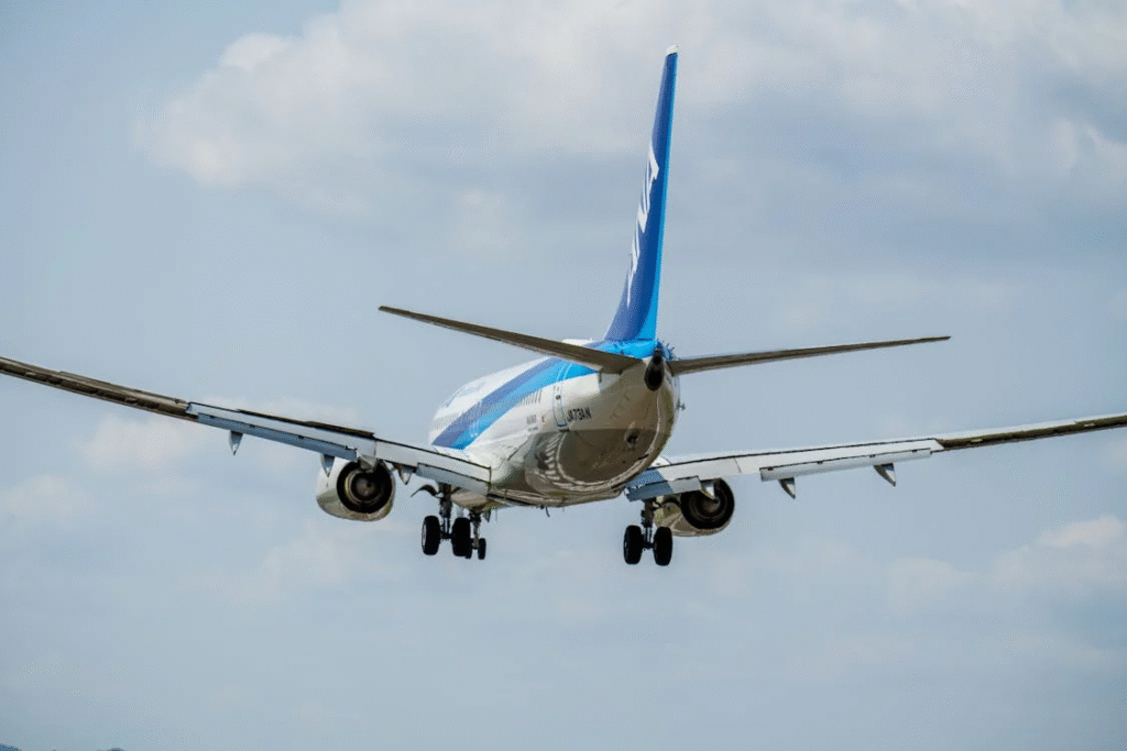 image of airplane in flight