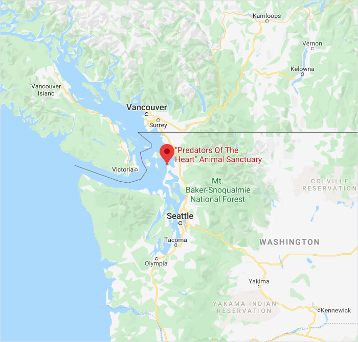 google map image
