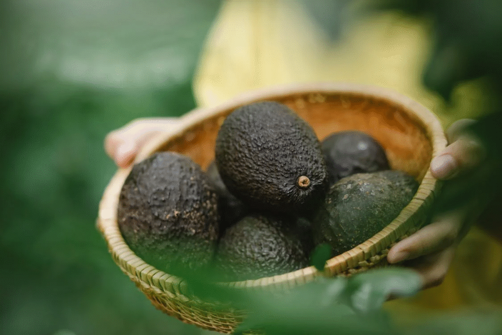 avo in a bowl