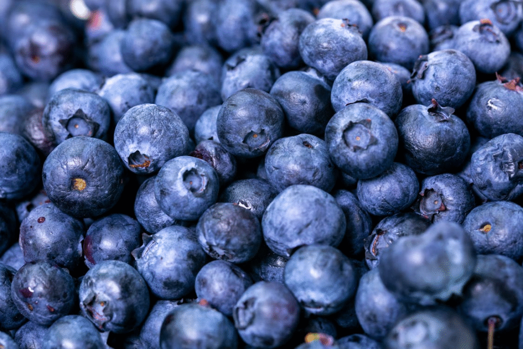 closeup of blueberries