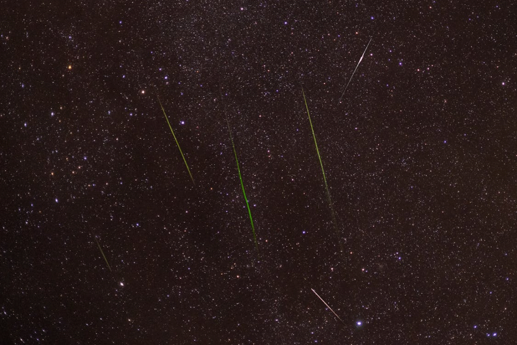 meteors in the night sky